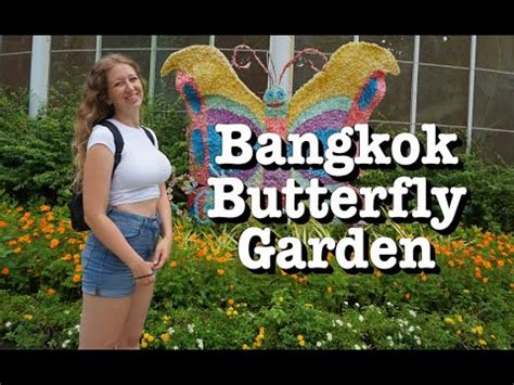  Bangkok Butterfly: A Whimsical Journey Through Love and Loss